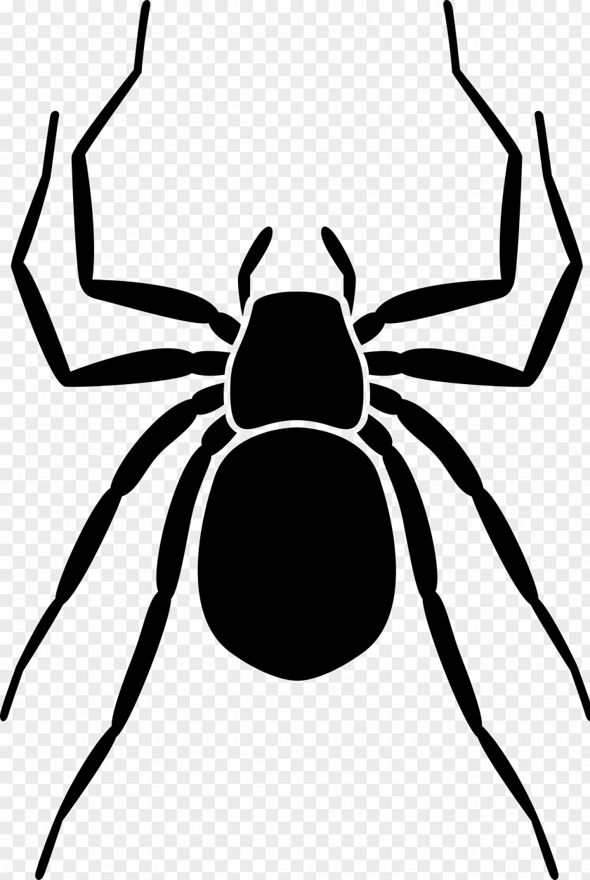 Spider Pictogram Film Poster PNG