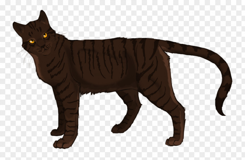 Cat Warriors Cats Of The Clans Brambleclaw Erin Hunter PNG