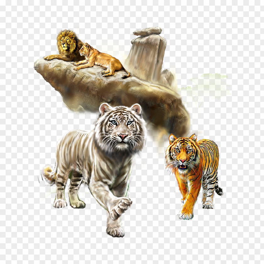 Lion Tiger Collection Watercolor Painting Cat PNG