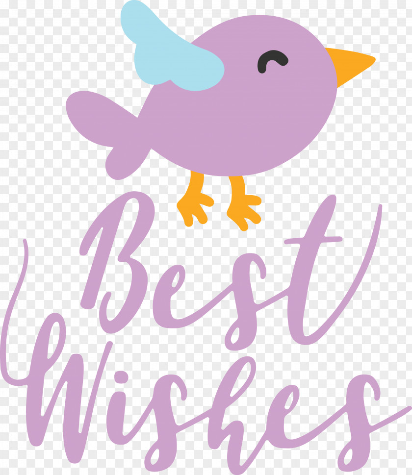 Birds Logo Meter Cartoon Beak PNG