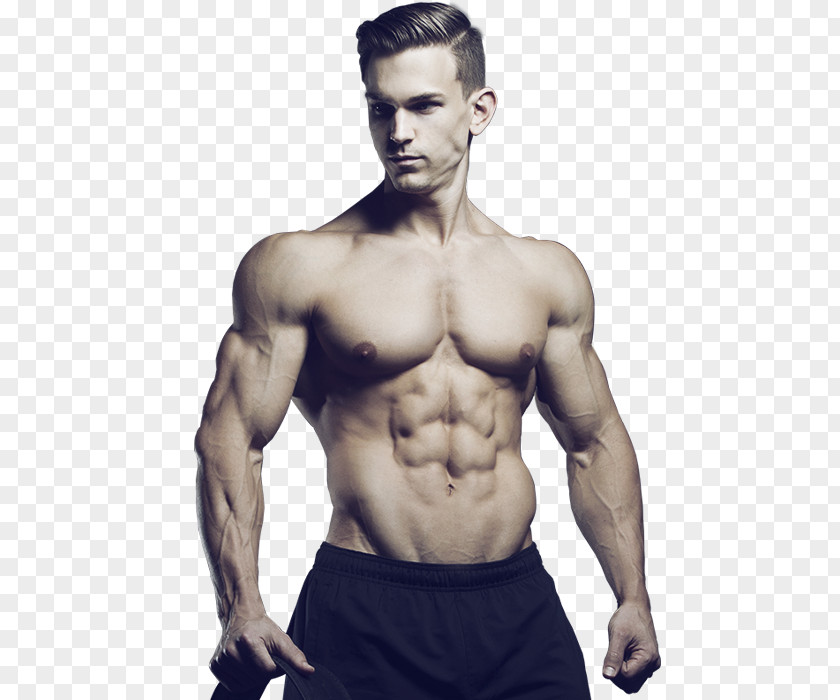 Diet Bodybuilding Muscle Male Arm PNG
