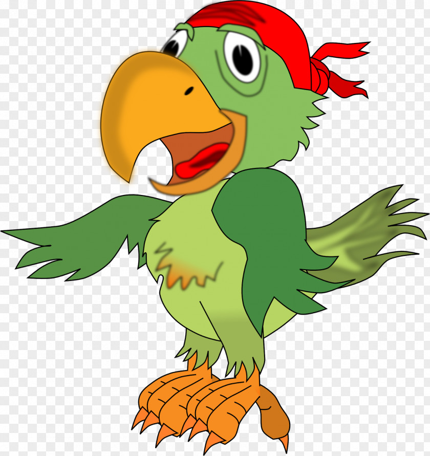 Parrot Pirate Piracy Clip Art PNG