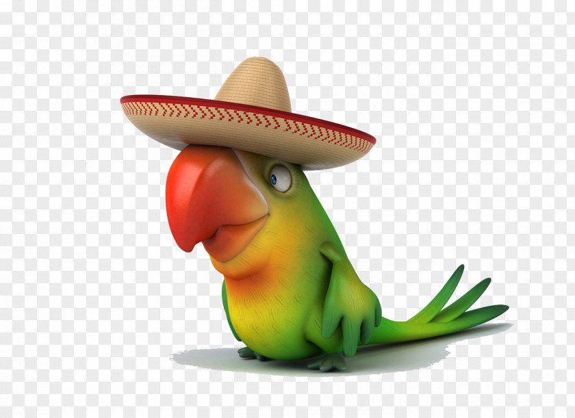 Parrot With A Straw Hat Drawing Royalty-free Stock Illustration PNG