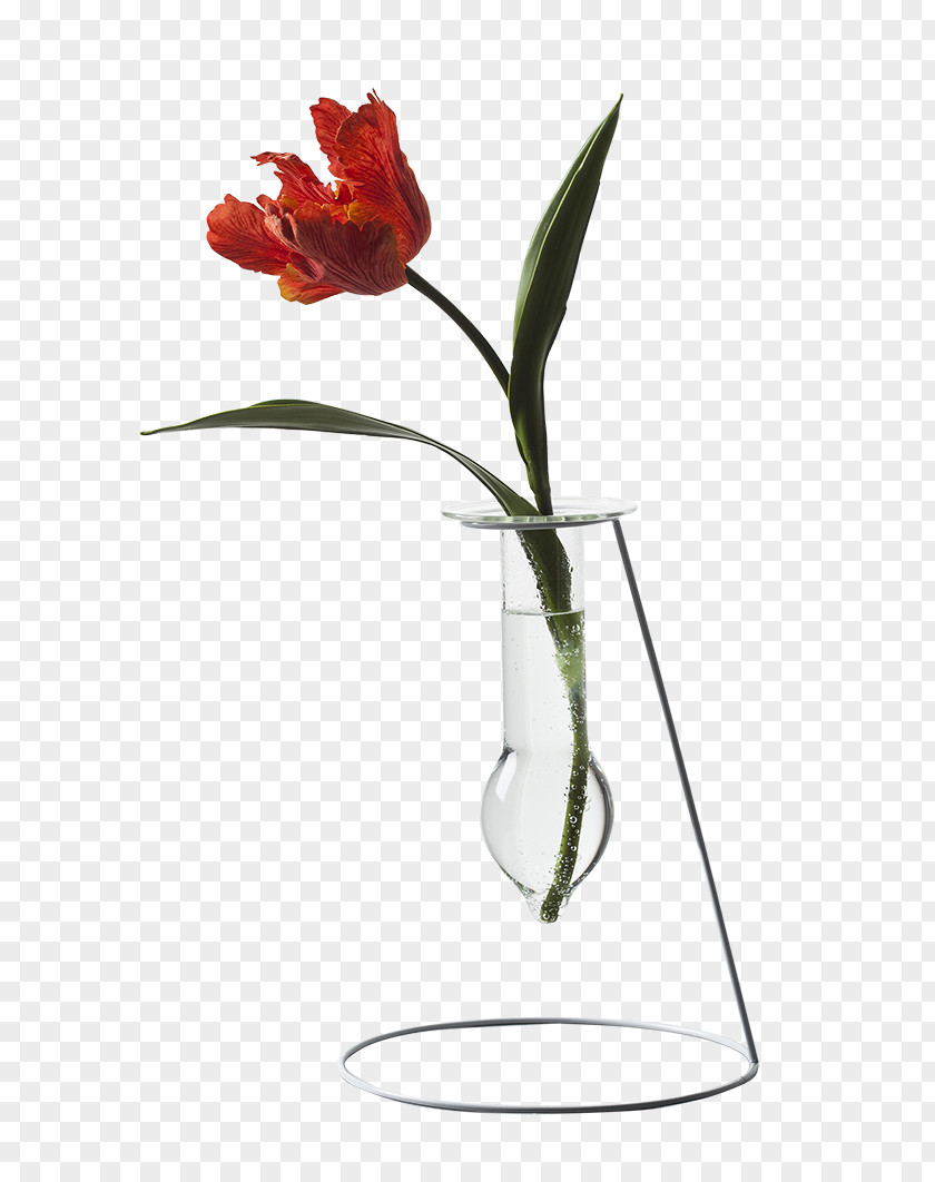 Petal Lily Family Flower Cartoon PNG