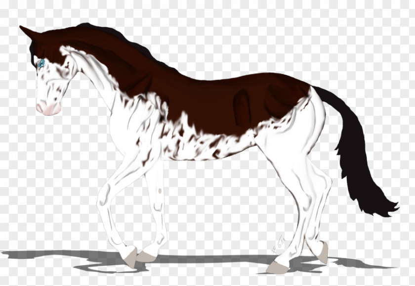 Seabreeze Vector Mustang Mare Foal Stallion Rein PNG