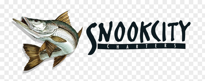 Seawater Fish Logo Common Snook Fishing Image Clip Art PNG