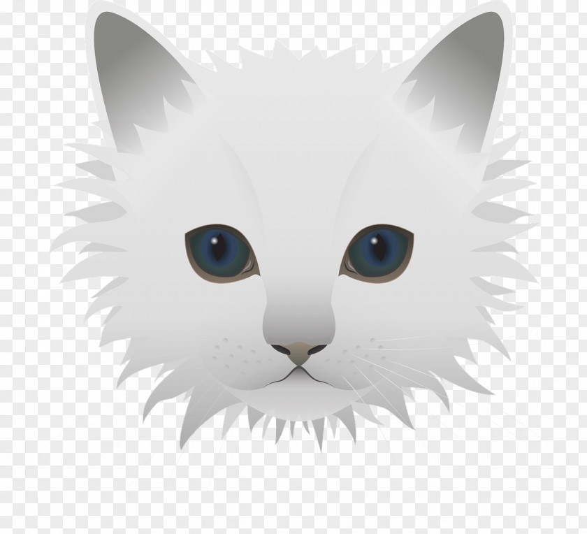 White Kitten Kitty Cats PNG