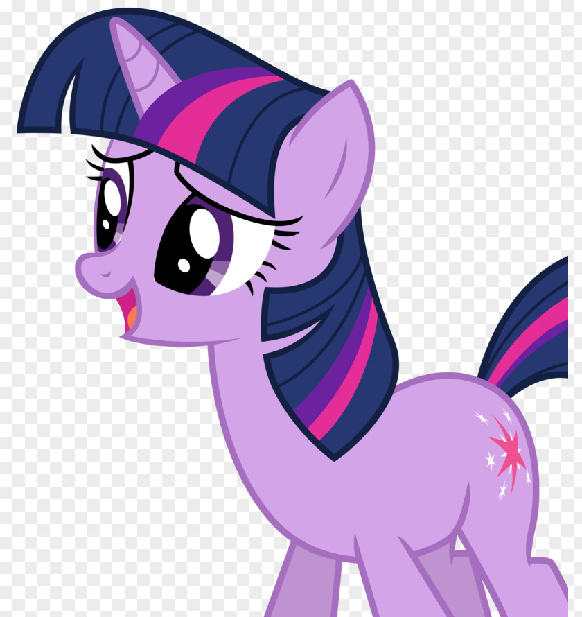 Cat Twilight Sparkle Pony The Saga PNG