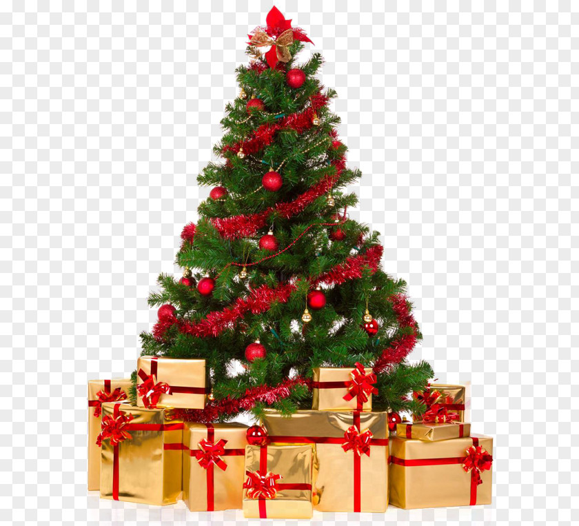 Christmas Tree Artificial Decoration Ornament PNG