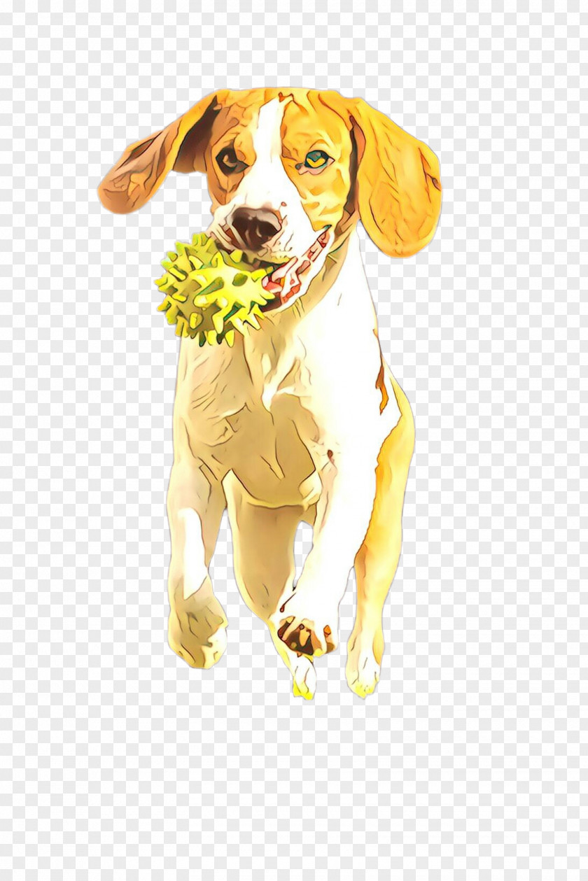 English Foxhound American Dog Cartoon PNG