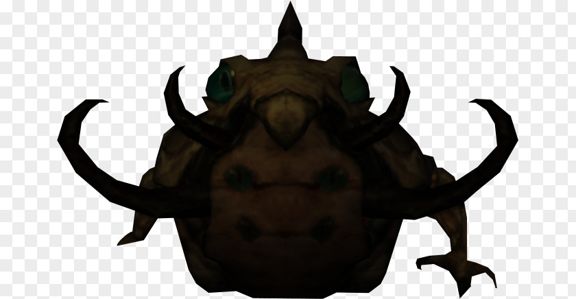 Frog Wikia True Toad Amphibian Stone PNG