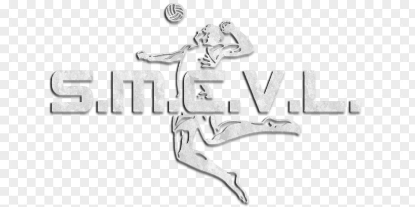 Men Volleyball Serve Font Logo Silver Product Design Brand PNG