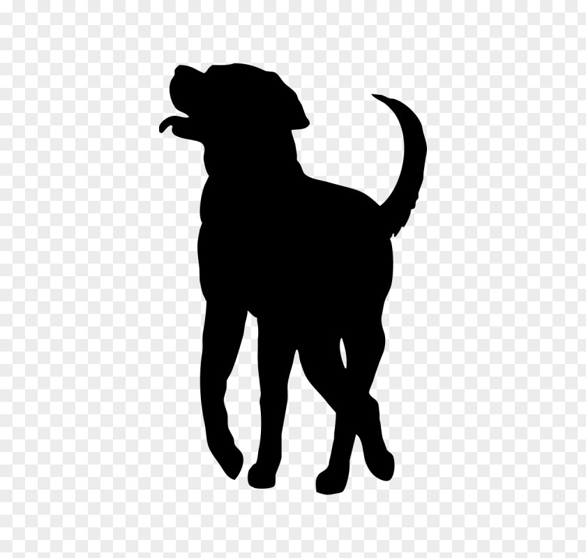 Puppy Labrador Retriever Dog Breed Smooth Collie Rough PNG