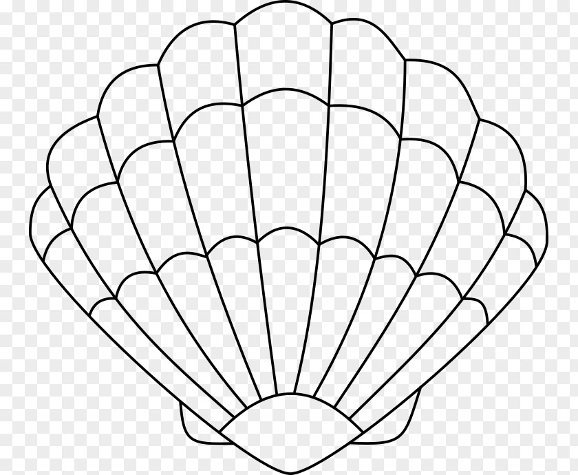 Seashell Coloring Book Drawing Oyster PNG