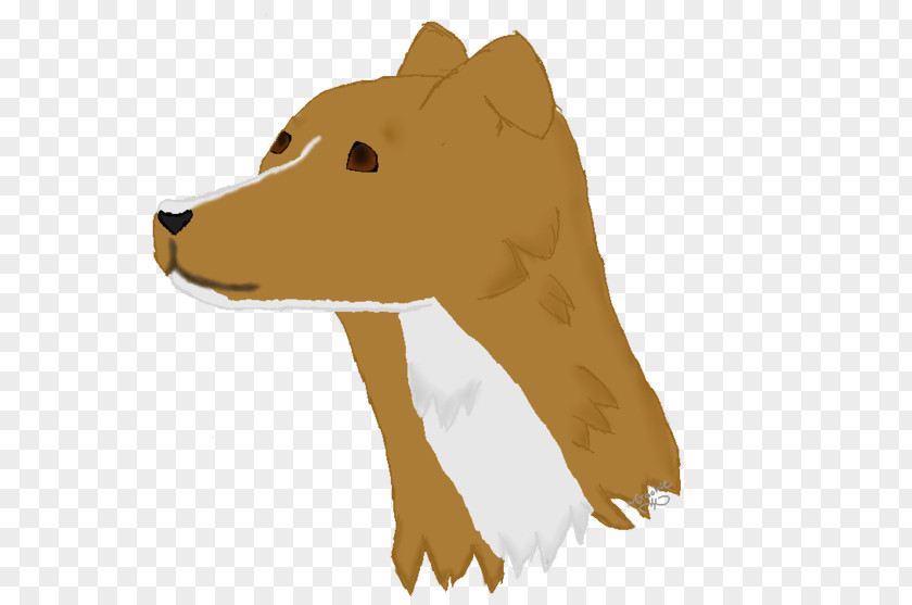 Dog Breed Whiskers Snout Jaw PNG