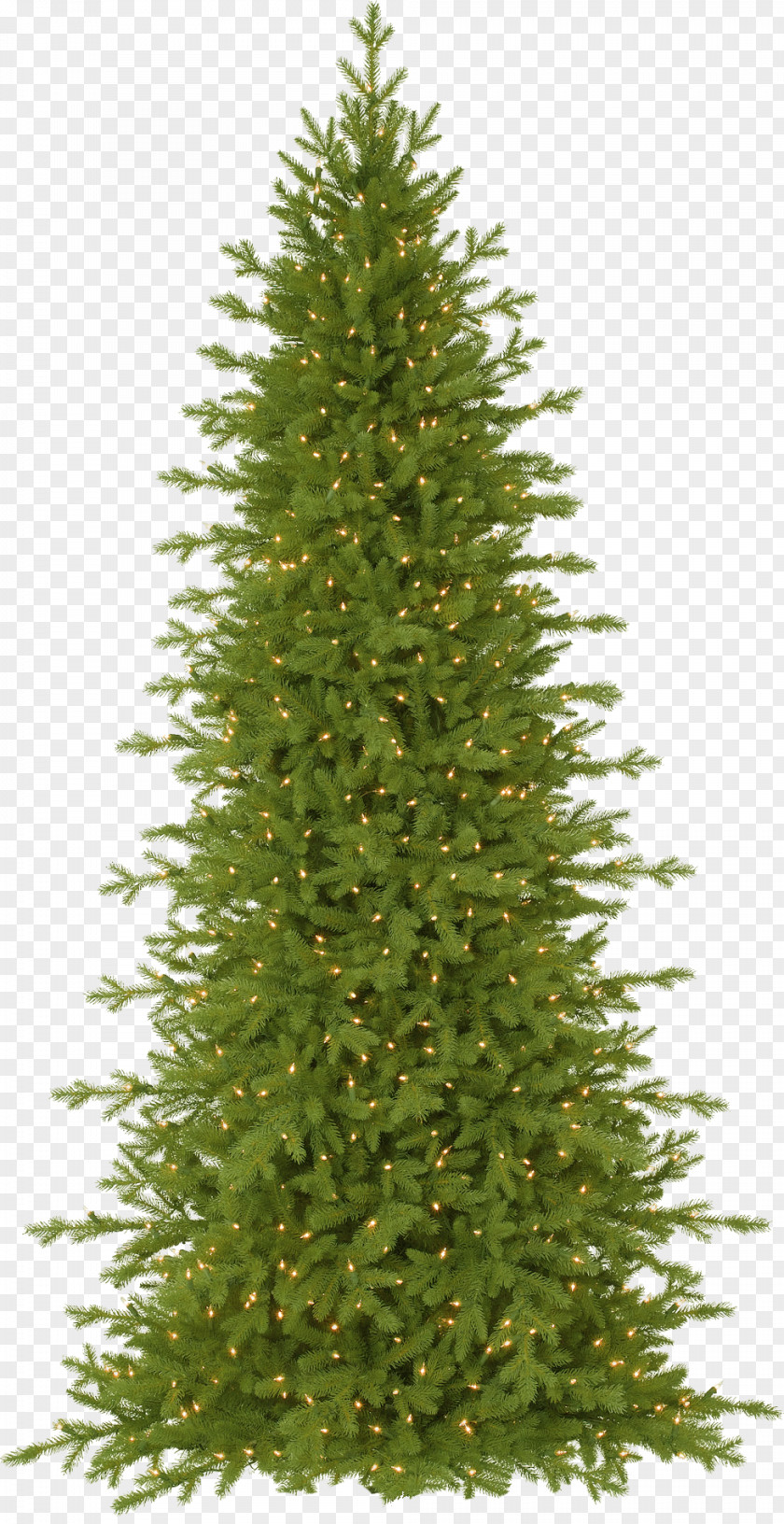 Golden Neon Christmas Tree Picea Rubens Balsam Hill Artificial Fir PNG