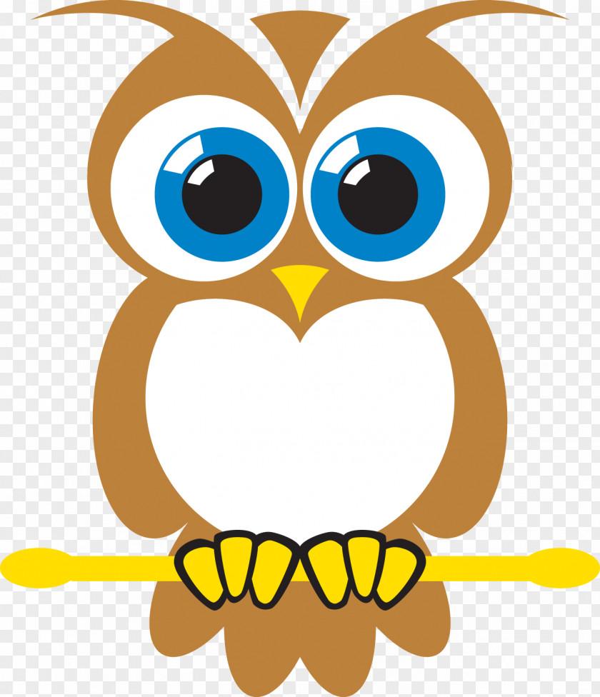 Owl Learning Engineering Education Clip Art PNG