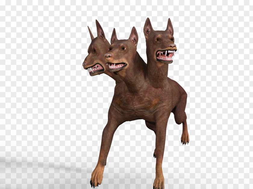 3d Dog Breed Pinscher Guard Canidae PNG