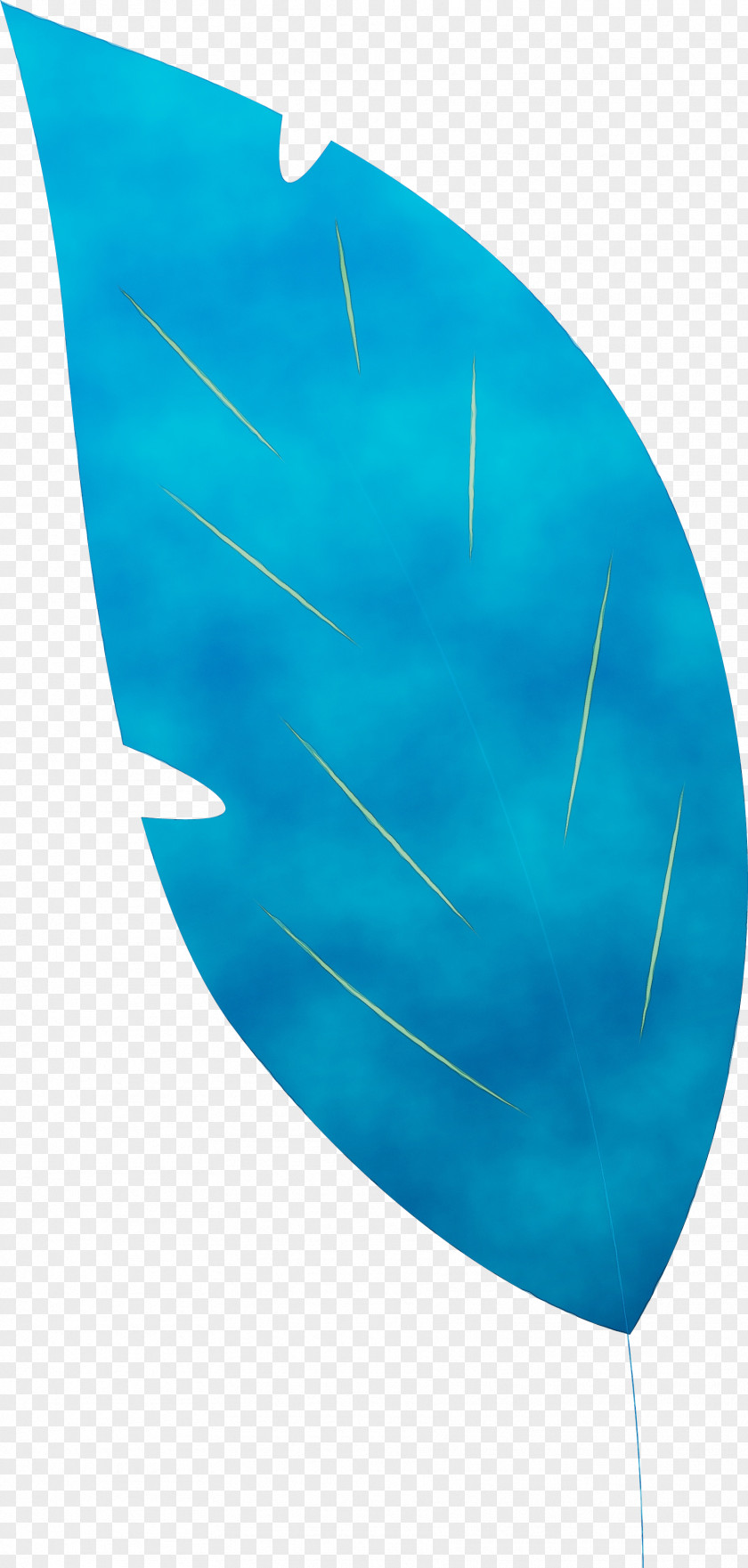 Angle Line Turquoise PNG