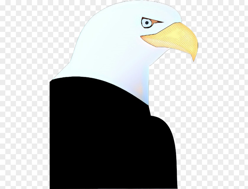 Bald Eagle Beak Neck PNG