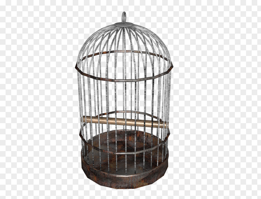 Bird Cage Birdcage Domestic Canary Cockatiel Parrot PNG