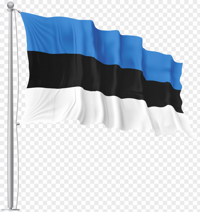 Flag Of Lithuania Estonia PNG