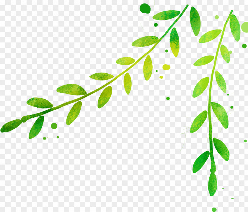 Fresh Green Leaves Leaf Poster Drawing PNG