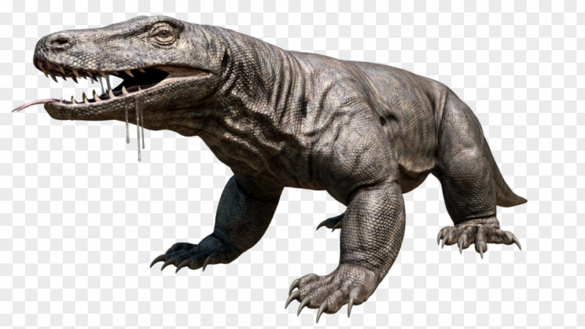 Giant Creatures Picture Komodo Dragon Megalania Lizard PNG