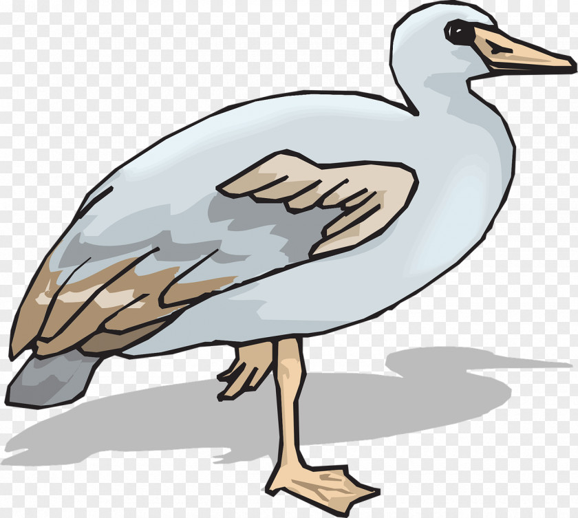 Goose Clip Art Cygnini Duck PNG