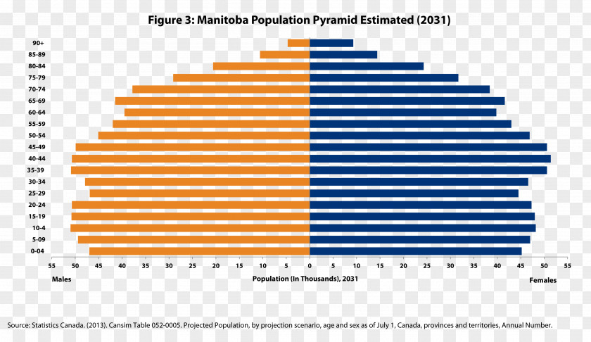 University Of Manitoba An Essay On The Principle Population Pyramid Demography PNG