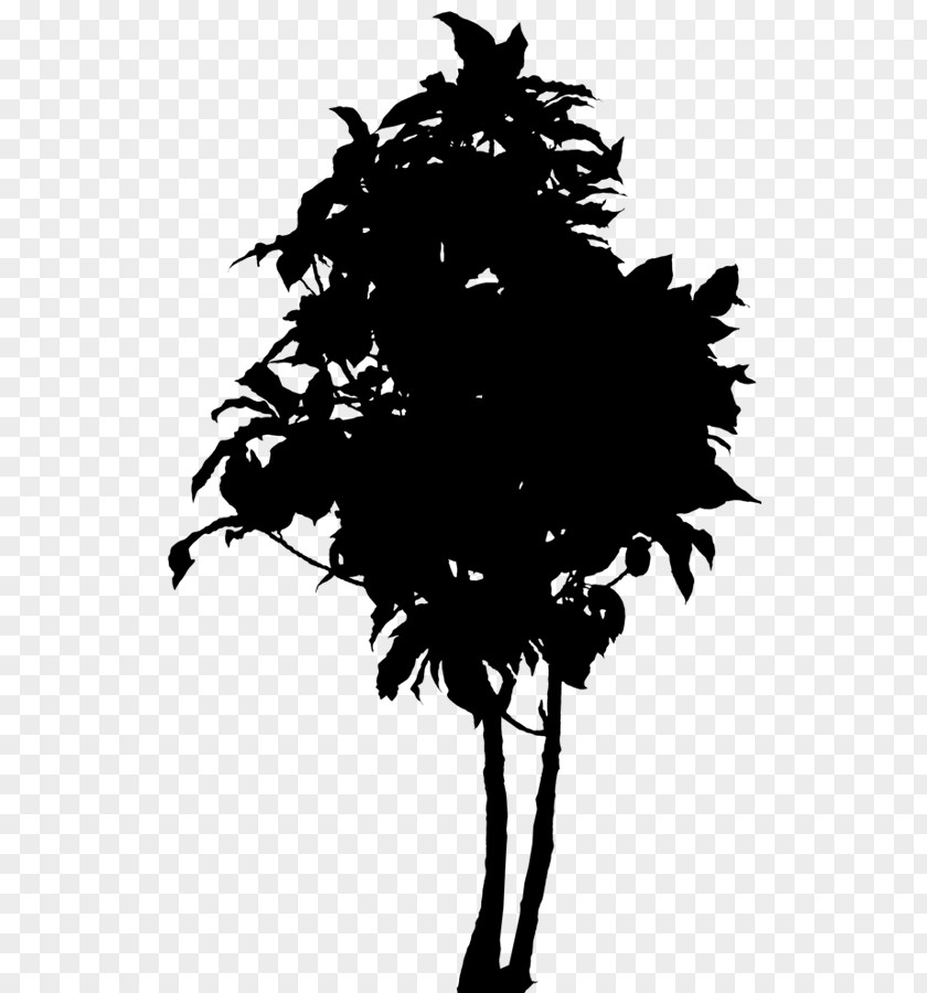 Clip Art Oak Vector Graphics Silhouette Tree PNG