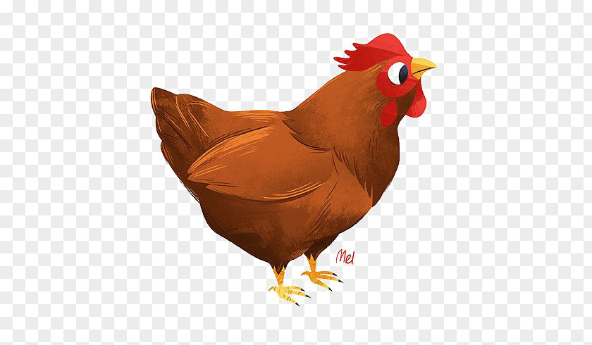 Cock Rooster Chicken Cartoon Illustration PNG