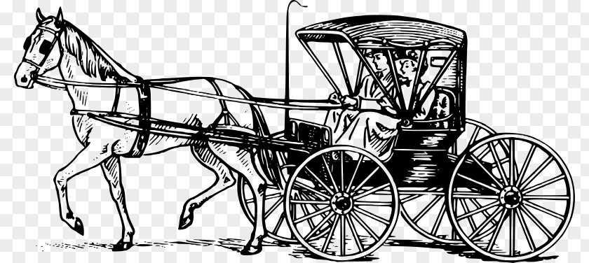 Horse And Carriage Buggy Horse-drawn Vehicle Drawing PNG
