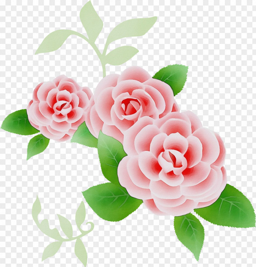 Japanese Camellia Garden Roses PNG