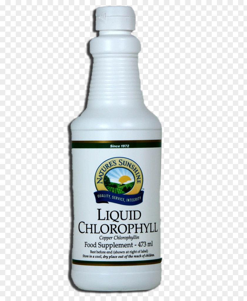 Liquid Cream Aloe Vera Dietary Supplement Nature's Sunshine Products Juice Acid Gras Omega-3 PNG