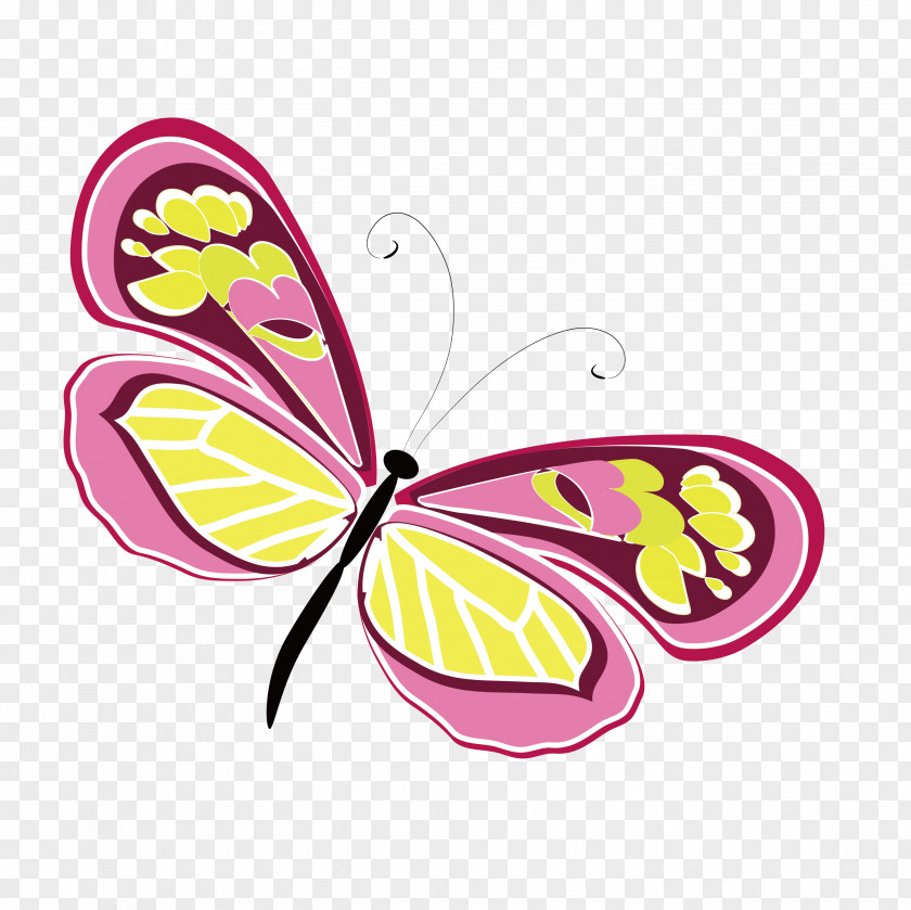 Purple Butterfly Singles Monarch PNG