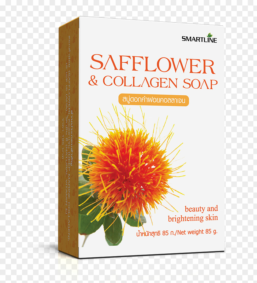 Safflower Dietary Supplement Collagen Food Cleanser PNG