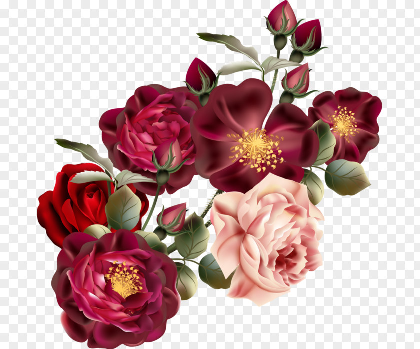 Beautiful Roses Invitation Watercolor Painting Clip Art PNG
