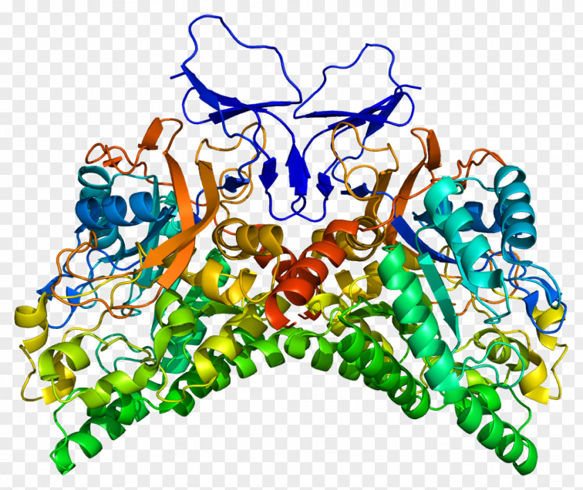 Collapsin Response Mediator Protein Family Lacosamide CRMP1 Gene PNG