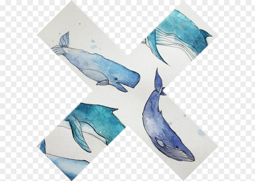 Dolphin Cetacea PicsArt Photo Studio Sticker Microsoft Azure PNG