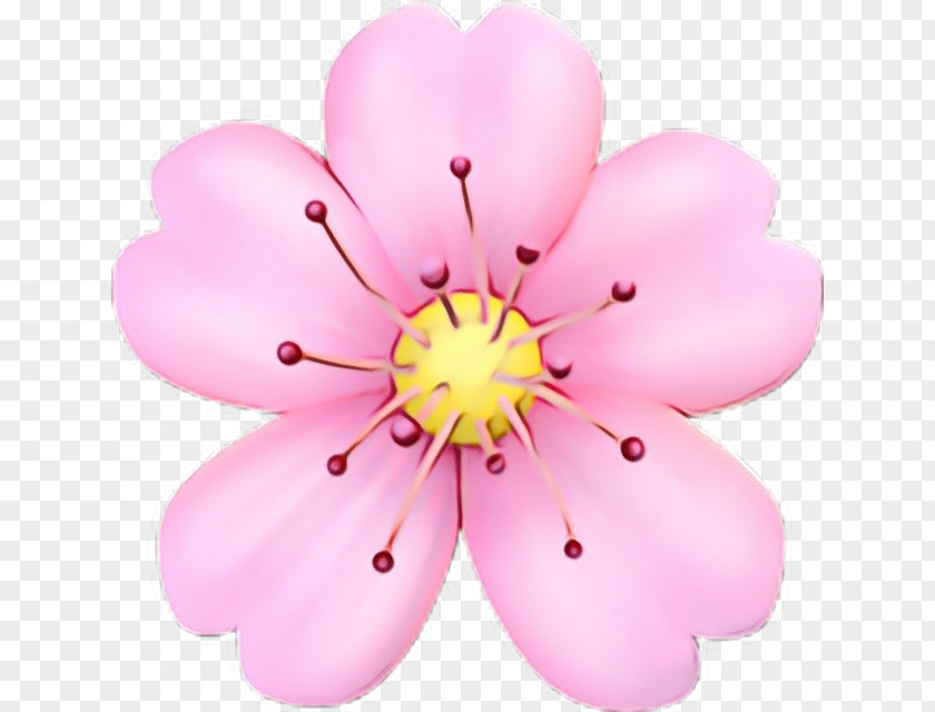 Herbaceous Plant Wildflower Cherry Blossom Cartoon PNG