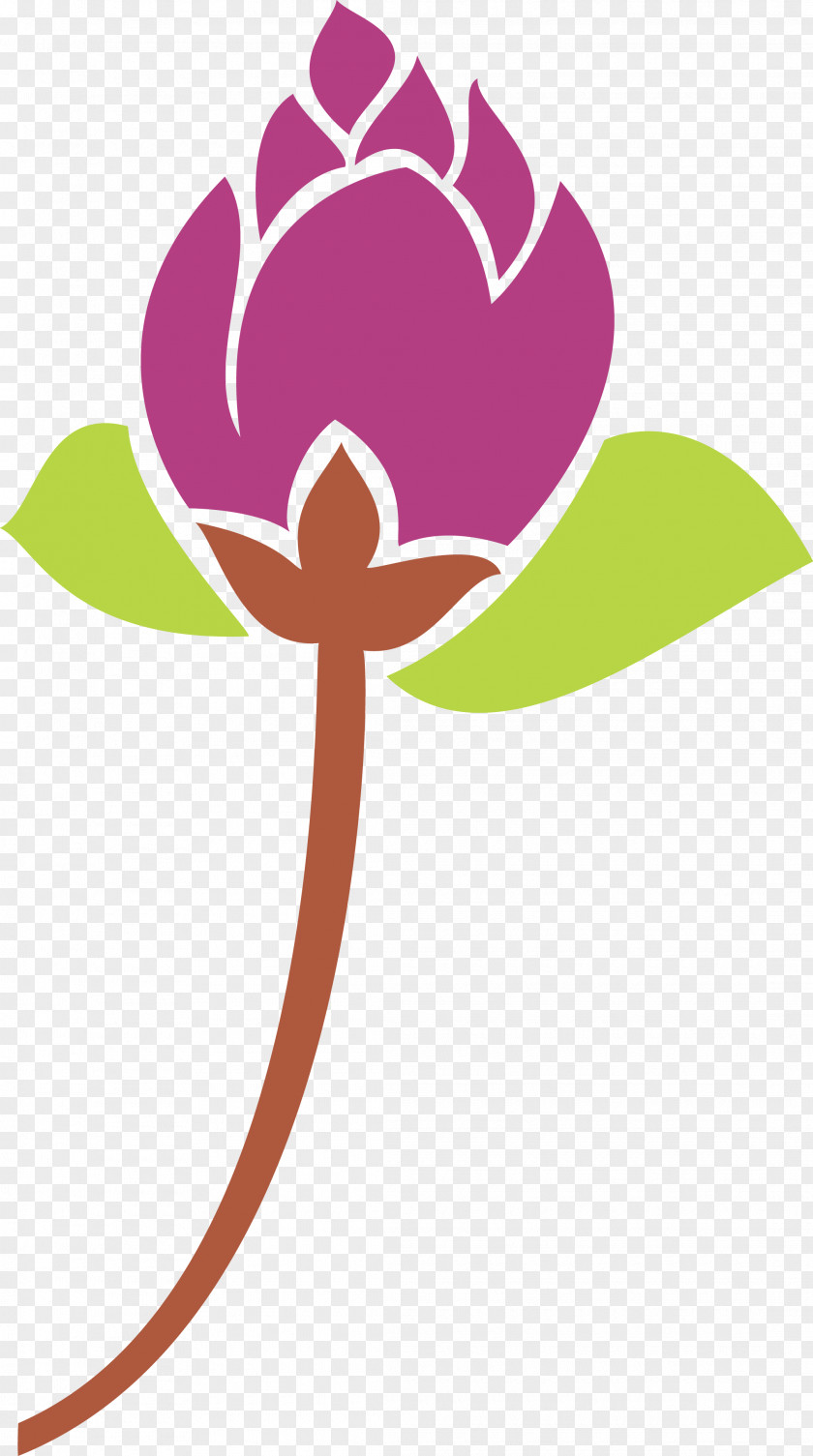 Leaf Petal Cut Flowers Plant Stem PNG