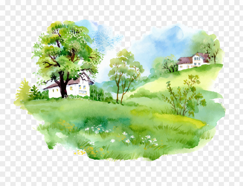 Nature Watercolor Painting Drawing PNG