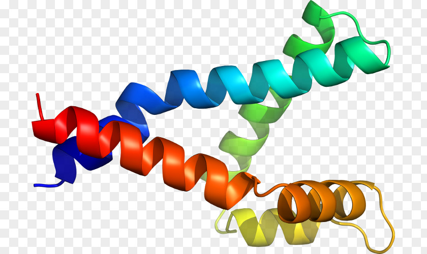 Pyrroline Clip Art Organism Line PNG