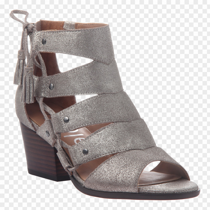 Silver Designer Shoes For Women Boot Sandal Shoe Footwear ニコル PNG