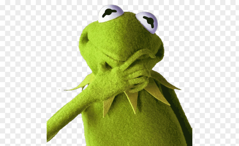 Kermit The Frog Humour Internet Meme Muppets PNG the meme Muppets, frog clipart PNG
