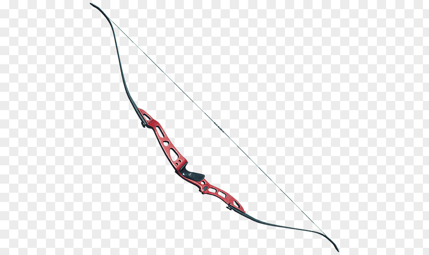 Arrow The Forest Compound Bows Bow And PNG