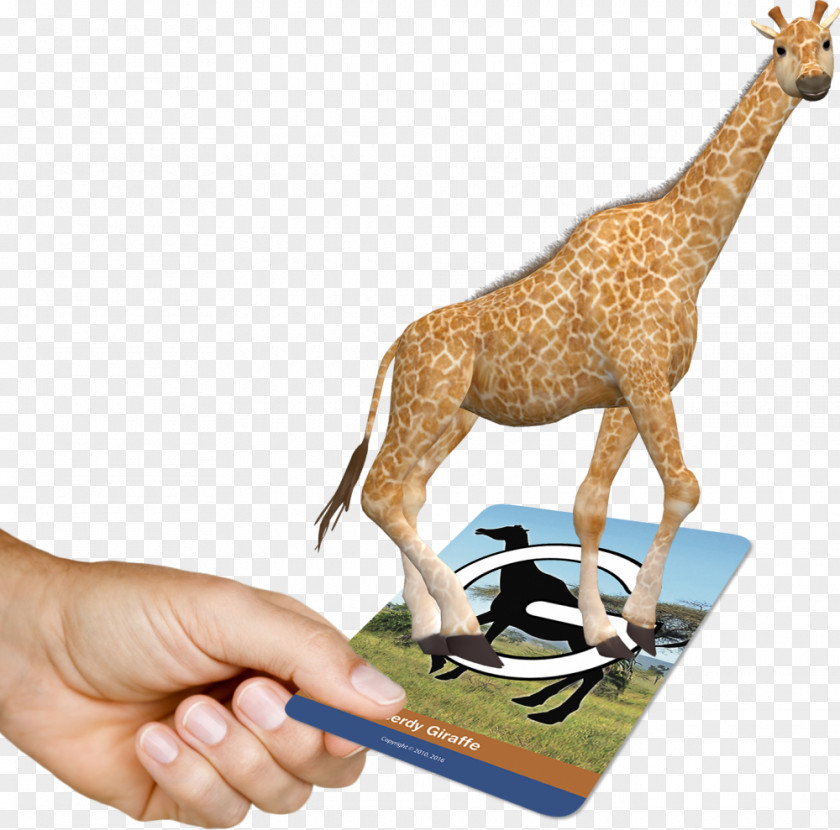 Dimensional Cards Education Giraffe Learning School Augmented Reality PNG