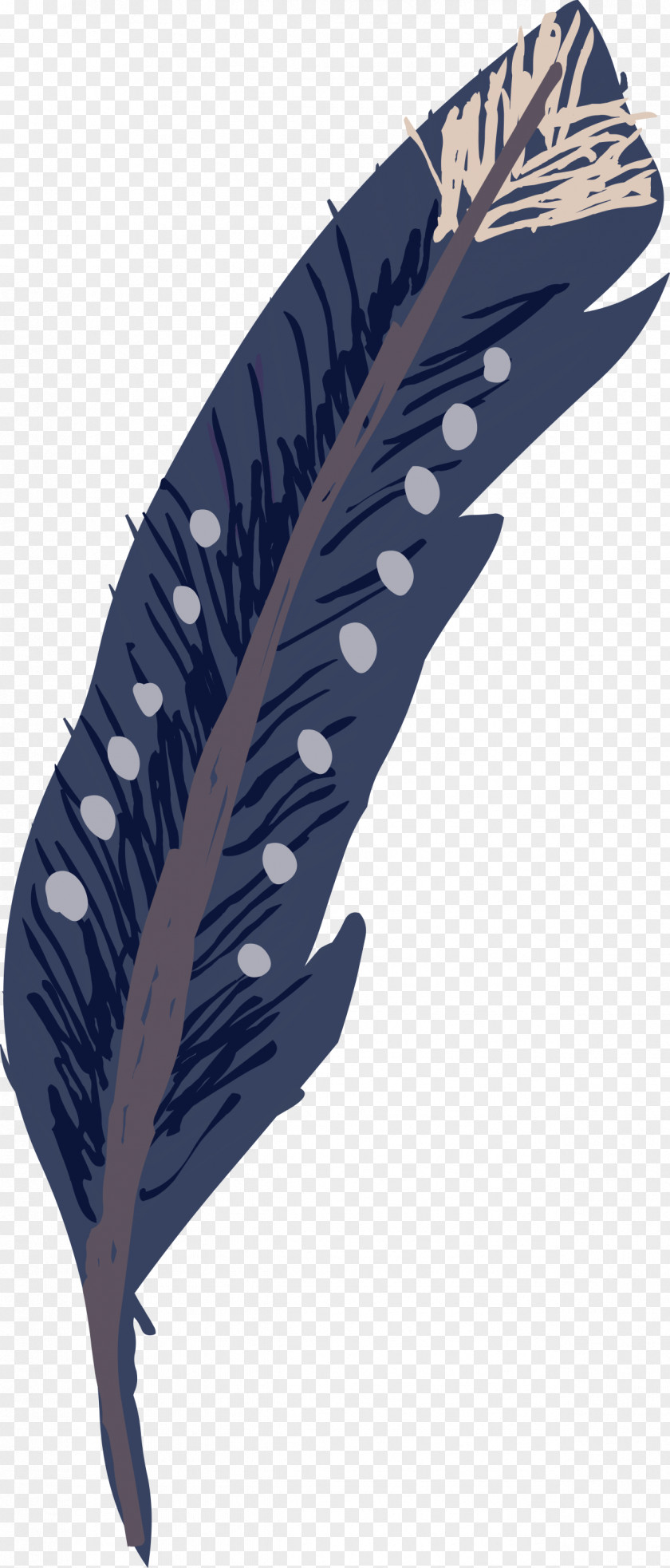 Hand-painted Feathers Feather Clip Art PNG