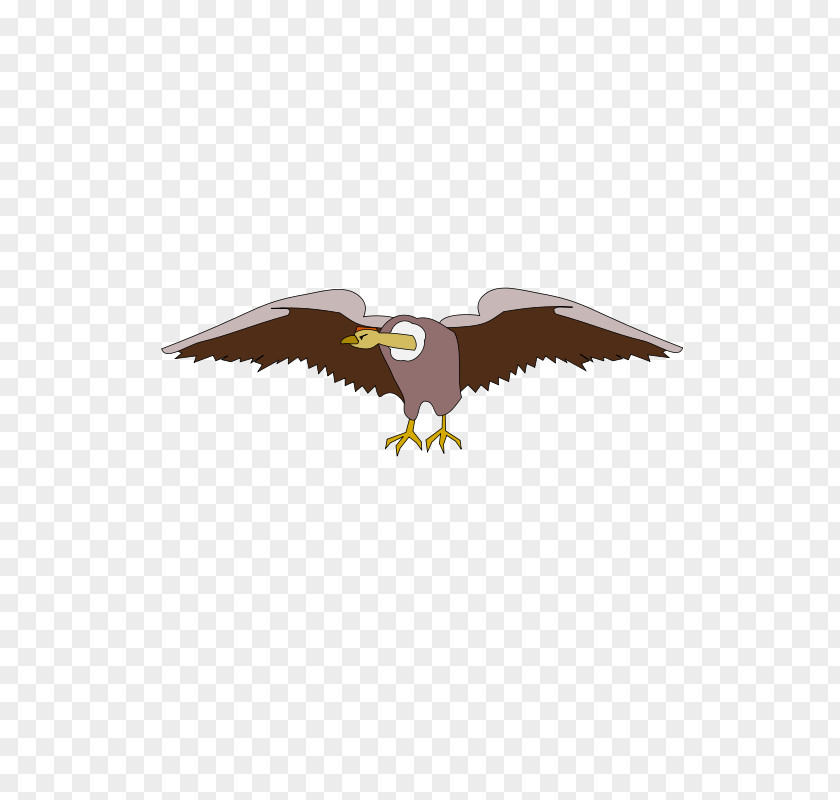 Maple Aquatics Bald Eagle Clip Art PNG